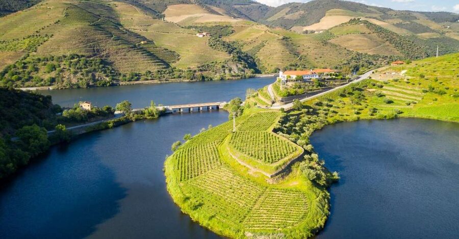 From Porto: Private Douro Valley Tour with Booking Service - Why a private car makes sense in the Douro Valley