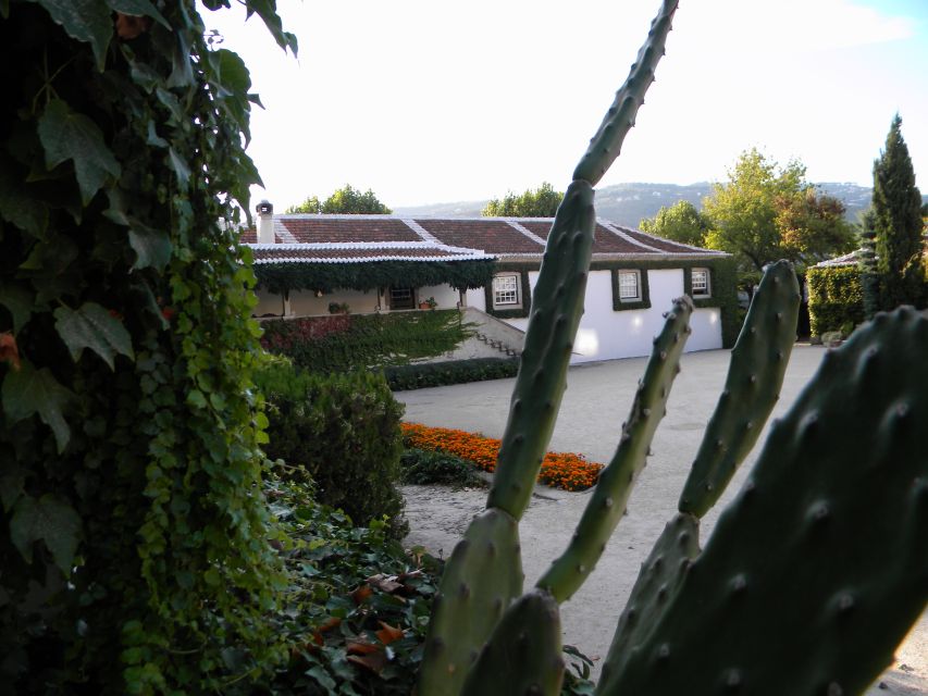 From Porto: Private Douro Valley Tour with Booking Service - Wine tasting without worrying about the drive