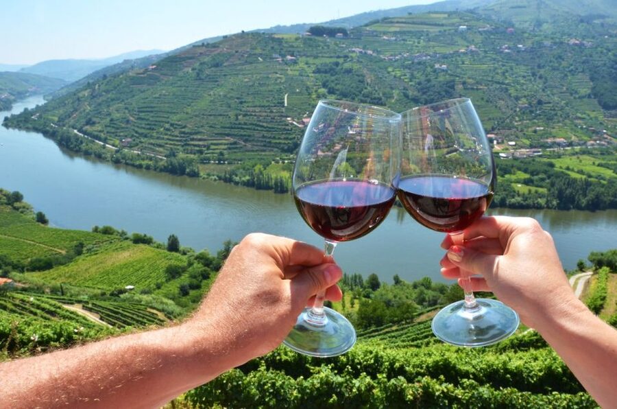From Porto: Private Douro Valley Tour with Booking Service - The guides are the real difference