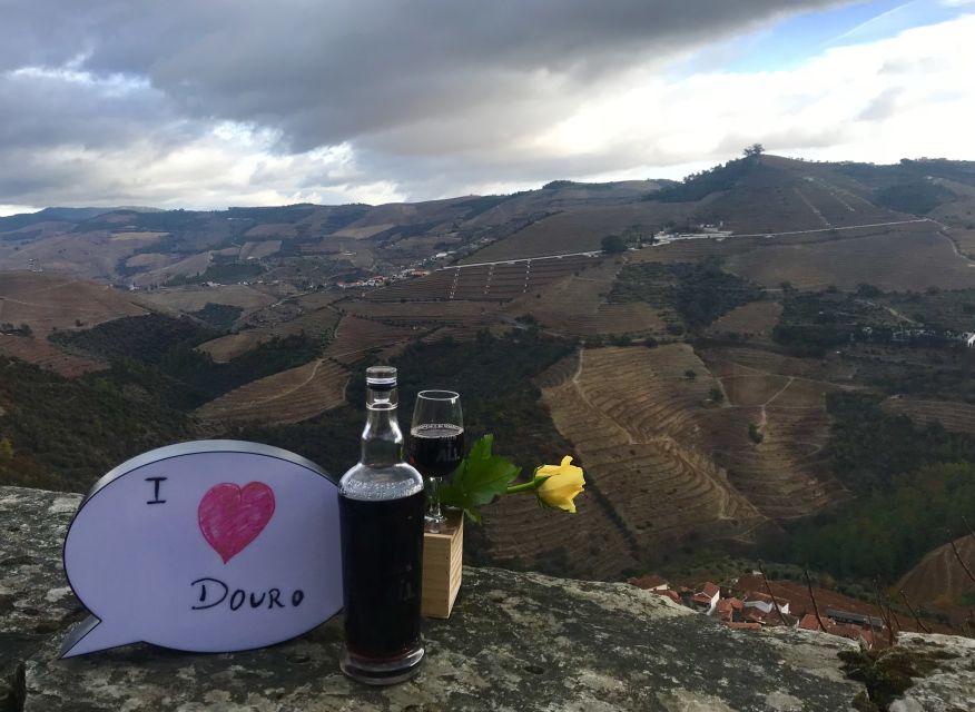 From Porto: Private Douro Valley Tour with Cruise and Wine - Should you book it?