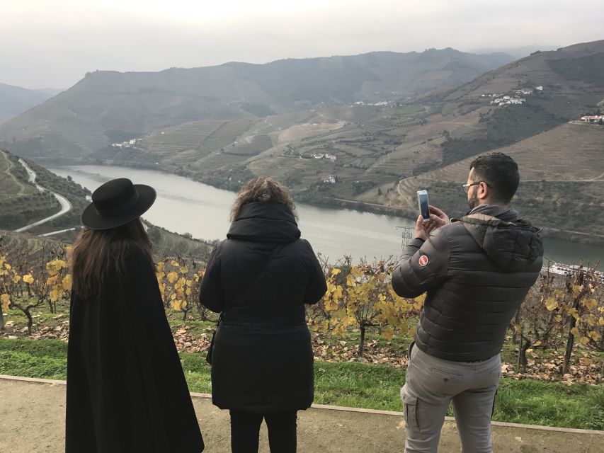 From Porto: Private Douro Valley Tour with Cruise and Wine - Two wineries, two different views of Douro wine