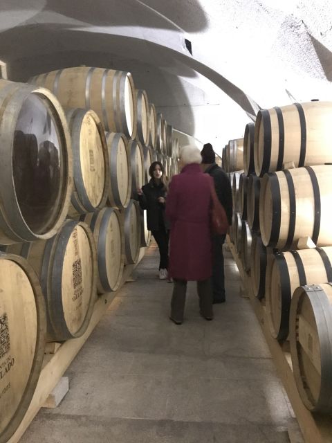 From Porto: Private Douro Valley Tour with Cruise and Wine - Who should book this experience