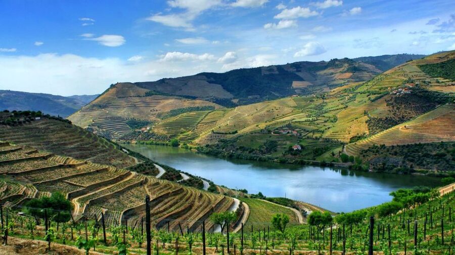 From Porto: Régua to Porto River Cruise with Lunch on Board - Why the Régua-to-Porto direction works so well