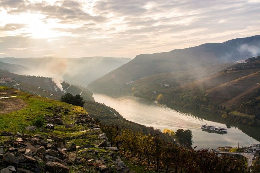 From Porto: Régua to Porto River Cruise with Lunch on Board - The dam locks are the cruise’s big moments