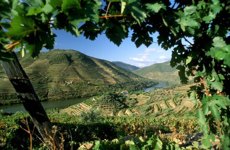 From Porto: Régua to Porto River Cruise with Lunch on Board - From Porto to Régua by bus