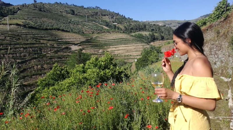 From Porto: Tastings at 2 Wineries, Chef's Lunch & Boat Tour - Key points to know before booking