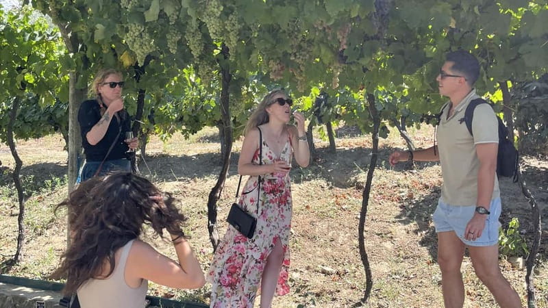 From Porto: Tastings at 2 Wineries, Chef's Lunch & Boat Tour - Understanding the 11 tastings