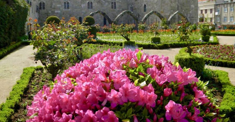 From Porto: Wonders of Braga & Guimaraes Private Day Trip - Braga Cathedral and the city center