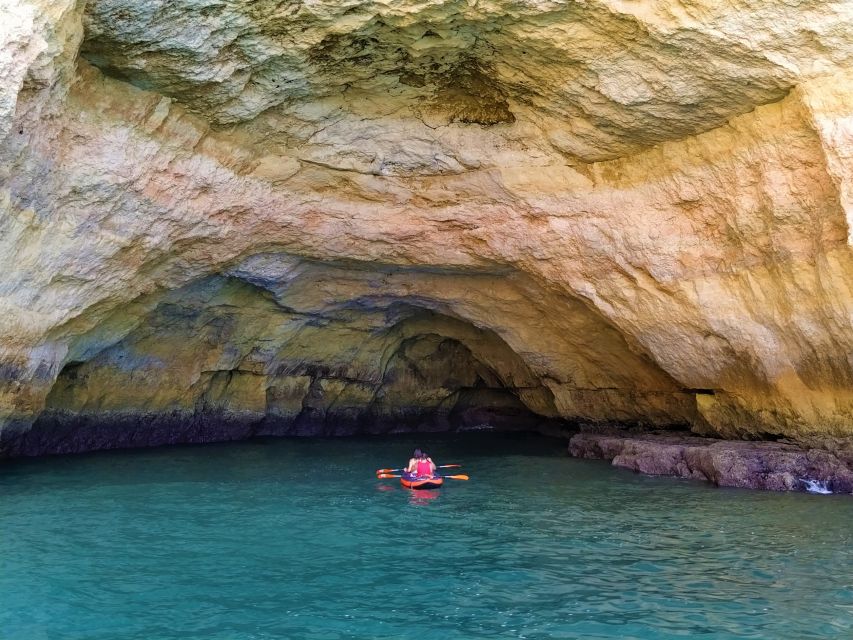 From Vilamoura: 2.5-Hour Benagil Cave and Dolphins Boat Tour - Who should book this experience?