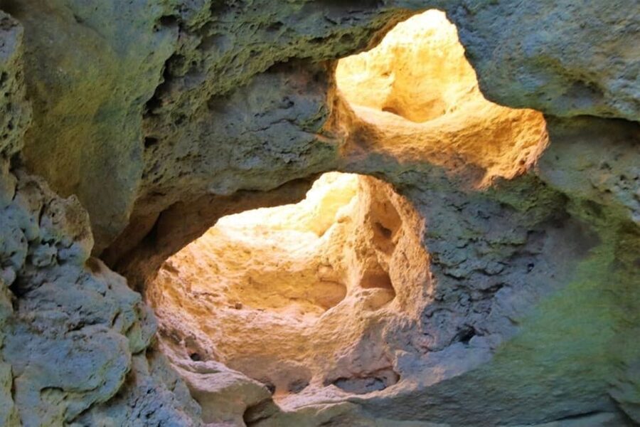 From Vilamoura: 2.5-Hour Benagil Cave and Dolphins Boat Tour - Is $53 a fair price?