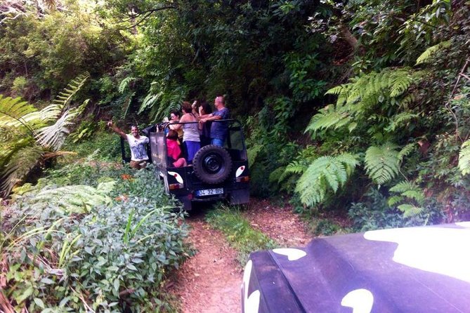 Full Day Jeep Safari East - Pico do Areeiro - Santana - Ponta de são Lourenço - Porto da Cruz and the Madeira rum stop