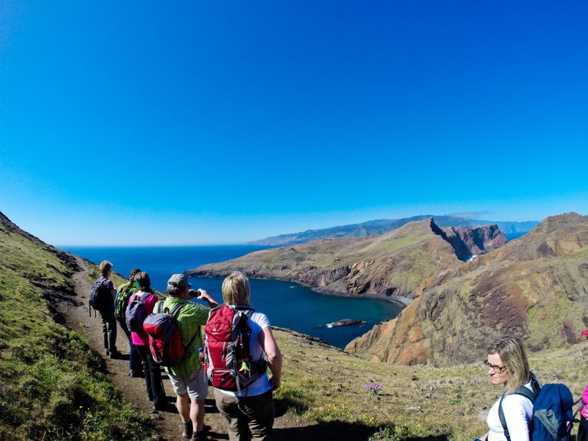 Full Day Ponta de São Lourenço - Natural Reserve - Plants and birds worth watching for