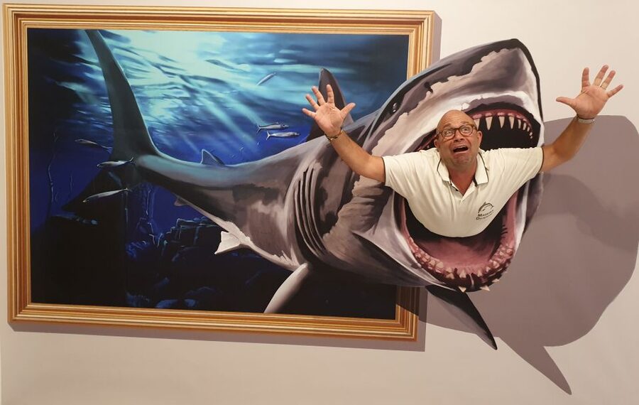 Funchal: 3D Fun Art Museum - Entering Funchal’s world of optical illusions