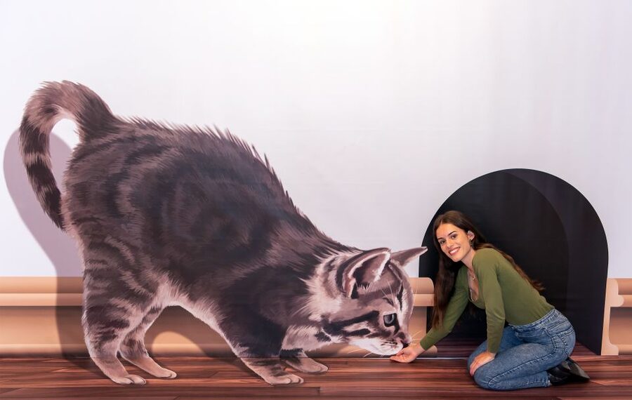 Funchal: 3D Fun Art Museum - Who should book the 3D Fun Art Museum?