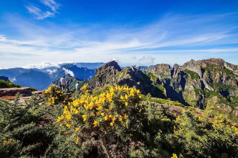 Funchal: 4x4 Jeep Trip to the East and Northeast of Madeira - Why this east Madeira route works so well