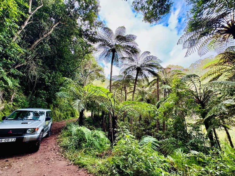 Funchal: 4x4 Jeep Trip to the East and Northeast of Madeira - Pico do Arieiro at 1,818 metres