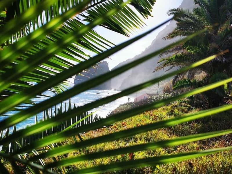 Funchal: 4x4 Jeep Trip to the East and Northeast of Madeira - Porto da Cruz and the old rum distillery