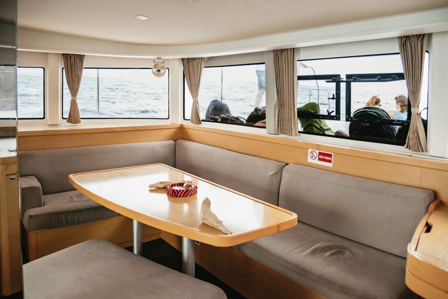 Funchal Bay: Dolphin & Whale Watch Luxury Catamaran Cruise - What makes the catamaran feel luxurious