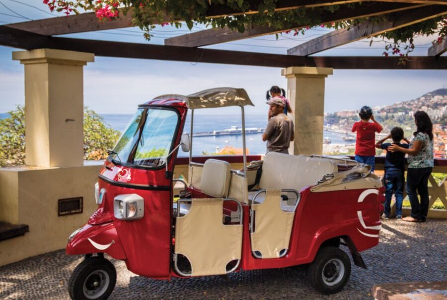 Funchal: Best Viewpoints Guided Tuk Tuk Tour - Starting in Funchal’s Old Town
