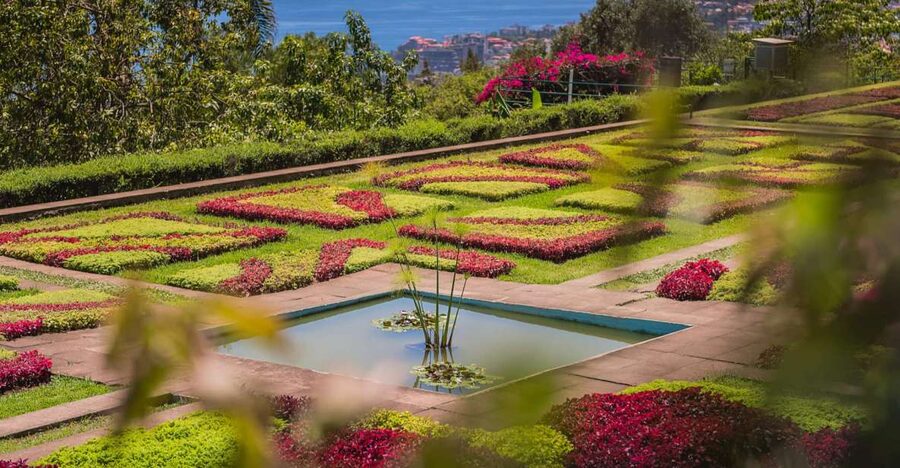 Funchal: Botanical Garden and Old Town Private Tuk-Tuk Tour - The ride uphill to Bom Sucesso