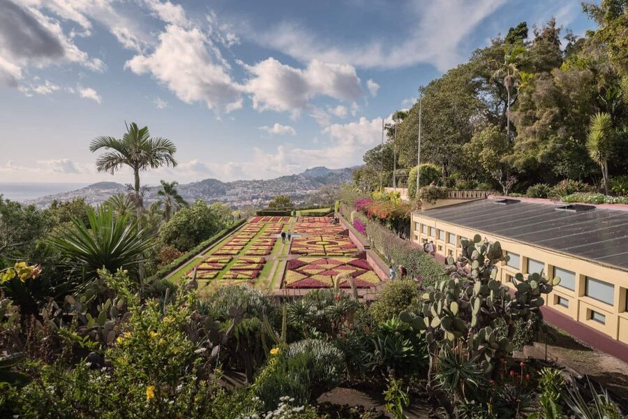 Funchal: Botanical Garden and Old Town Private Tuk-Tuk Tour - Spending about an hour in the Botanical Garden