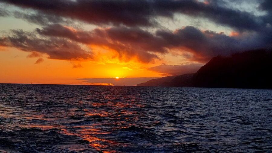 Funchal: Cabo Girão Sunset Catamaran Tour - Wildlife sightings are a welcome extra