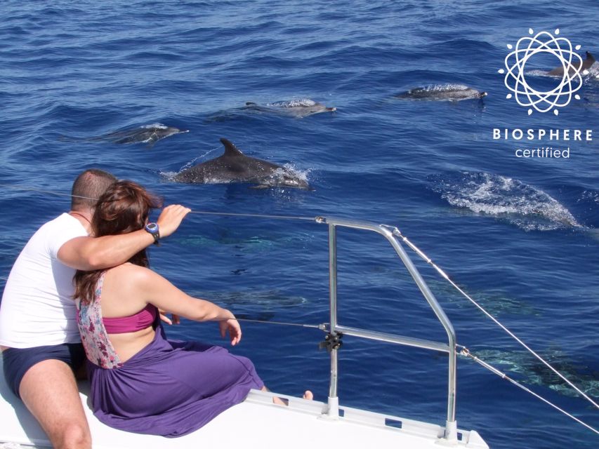 Funchal: Cabo Girão, Wines Tasting and Dolphins Watching - Key points to know before booking