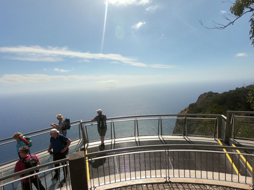 Funchal: Cabo Girão, Wines Tasting and Dolphins Watching - Three hours looking for dolphins and whales