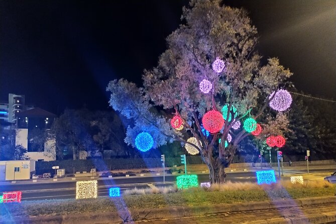 Funchal: Christmas Lights Sightseeing Night Tour - Key points to know
