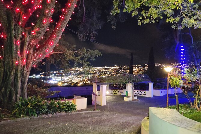 Funchal: Christmas Lights Sightseeing Night Tour - City hall, cathedral, and Funchal’s decorated center