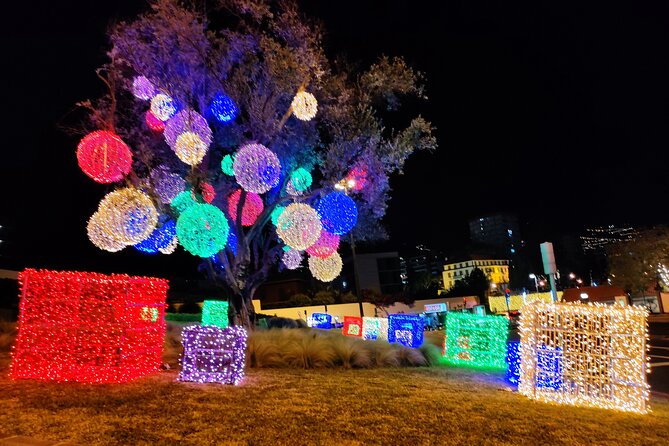 Funchal: Christmas Lights Sightseeing Night Tour - What the guide adds to the ride