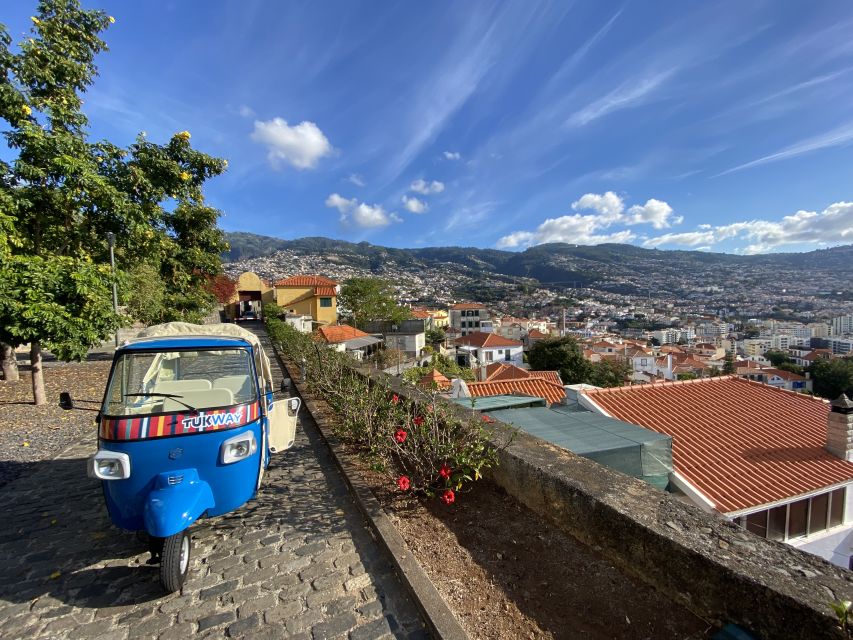 Funchal: City Highlights Tuk-Tuk Tour - Pico dos Barcelos and Pico Fortress: start above the city