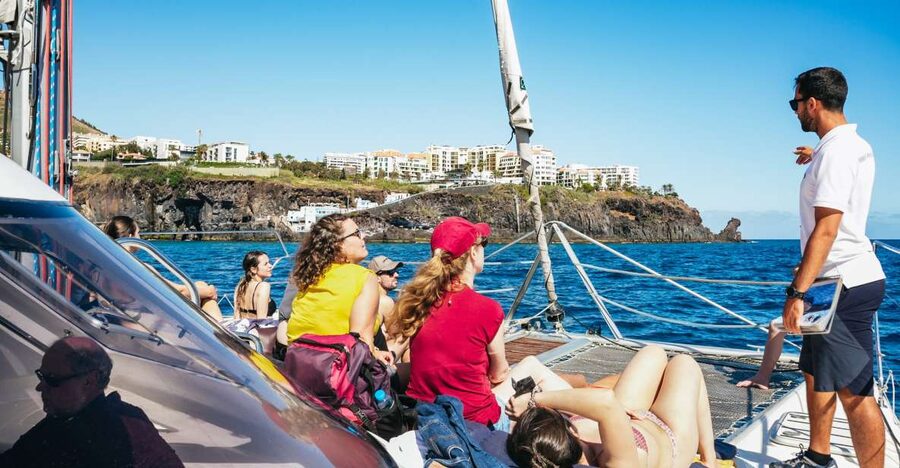 Funchal: Dolphin and Whale Watching by Luxury Catamaran - Key points to know before you book