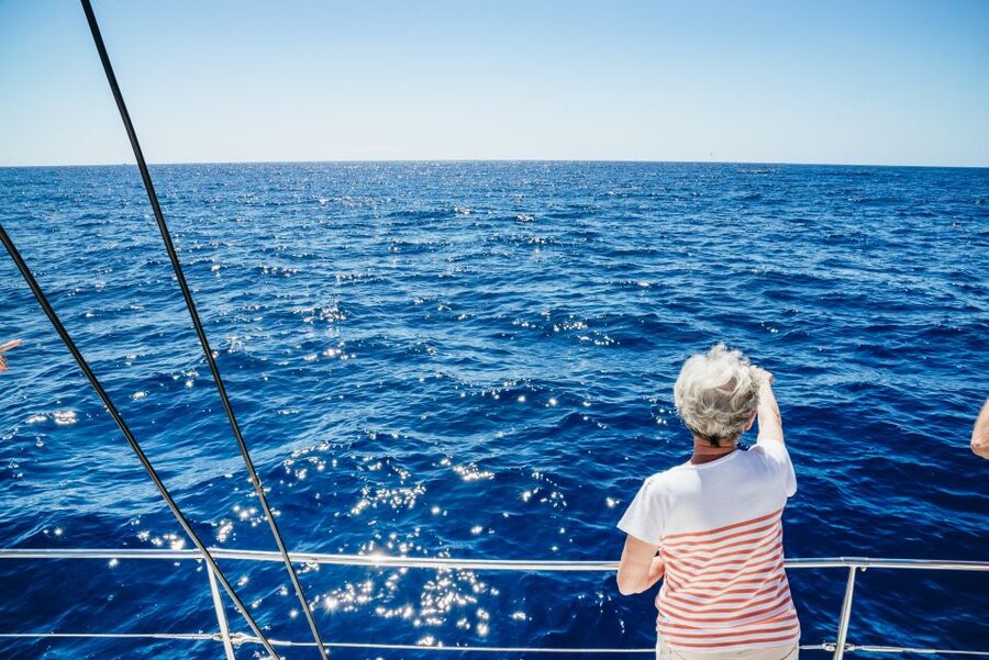 Funchal: Dolphin and Whale Watching by Luxury Catamaran - The first hour: leaving Funchal in search of wildlife
