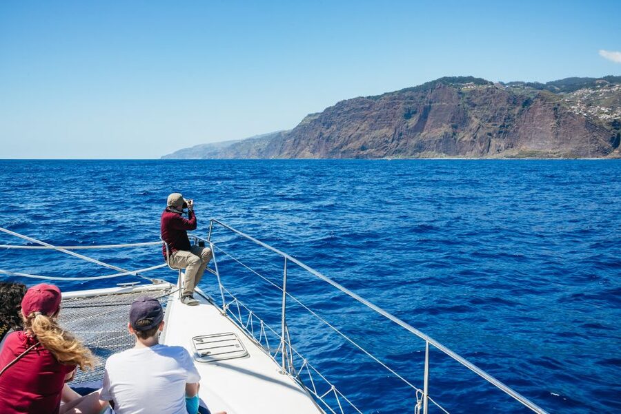 Funchal: Dolphin and Whale Watching by Luxury Catamaran - Comfort, drinks, and what is included