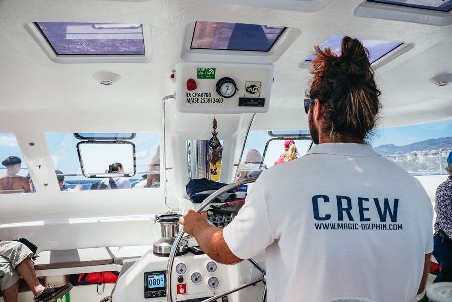 Funchal: Dolphin and Whale Watching by Luxury Catamaran - How the sea conditions affect your day