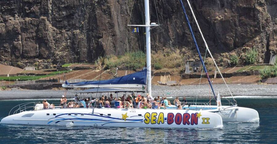Funchal: Dolphin and Whale Watching Catamaran Cruise - Wildlife watching with a lighter footprint