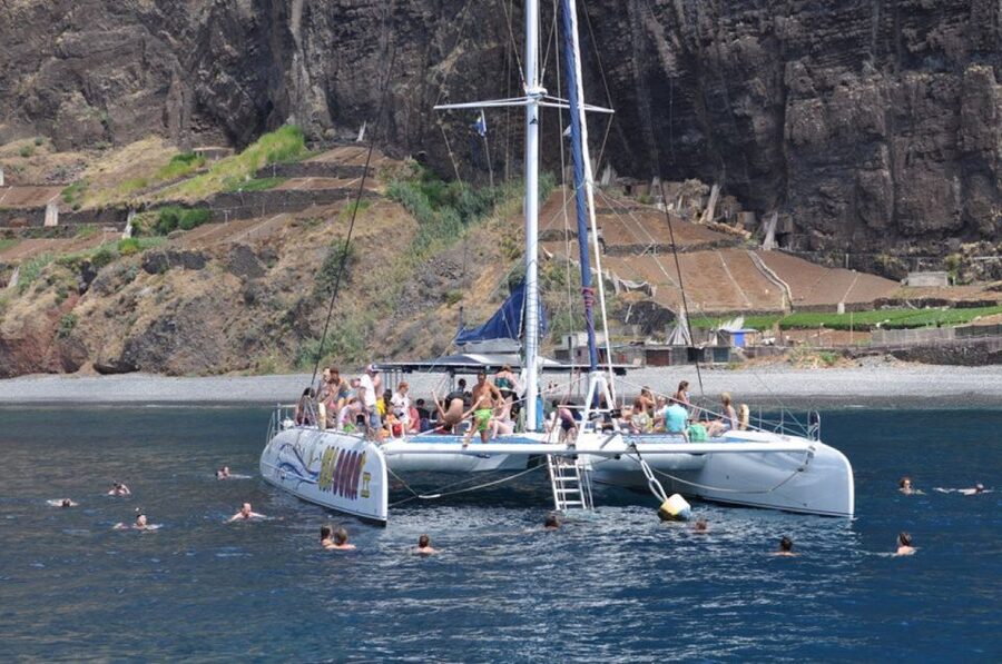 Funchal: Dolphin and Whale Watching Catamaran Cruise - Choosing the best time of day
