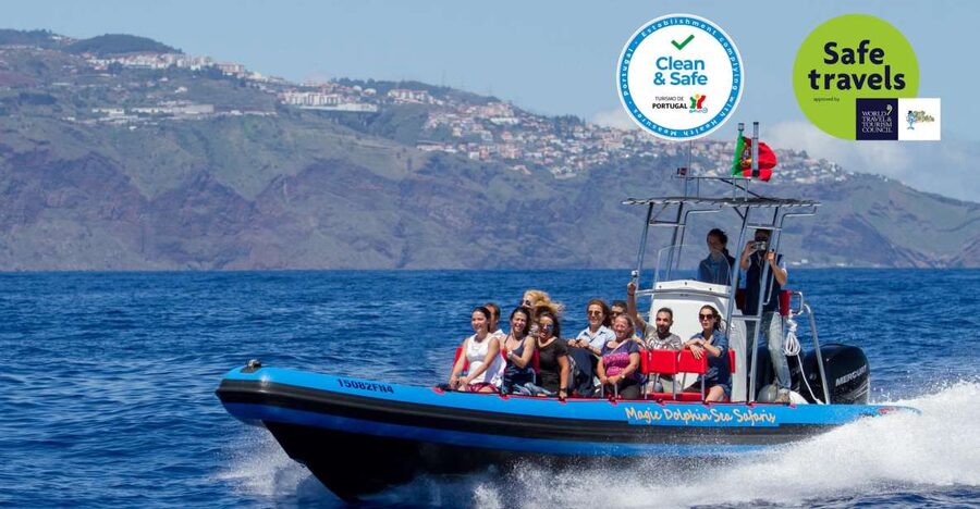 Funchal: Dolphin and Whale Watching Cruise - Why this Funchal wildlife cruise works
