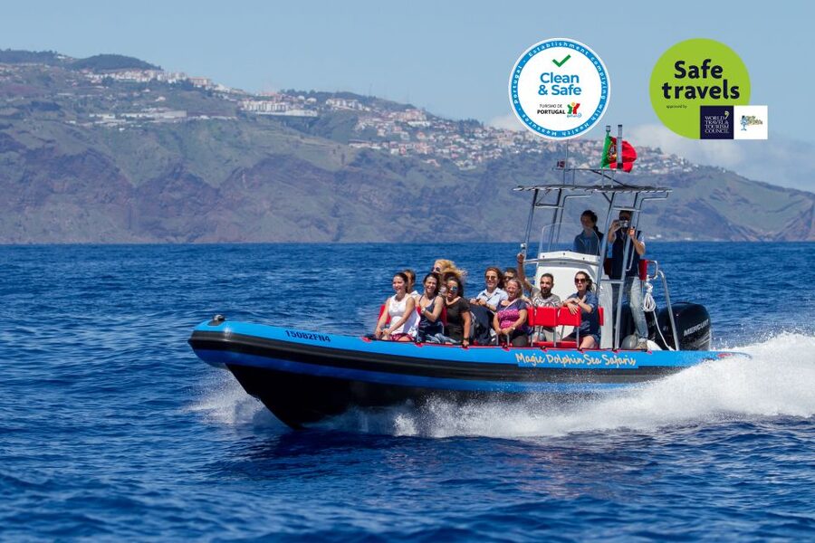 Funchal: Dolphin and Whale Watching Cruise - Meeting the crew at Magic Dolphin