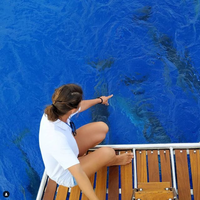 Funchal: Dolphin and Whale Watching Sailing Trip - Leaving Funchal Marina for open Atlantic views