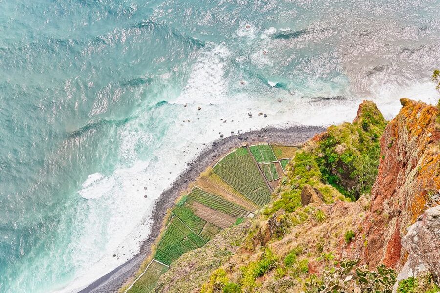 Funchal: Dolphin and Whale Watching Sailing Trip - Cabo Girão and the swimming stop