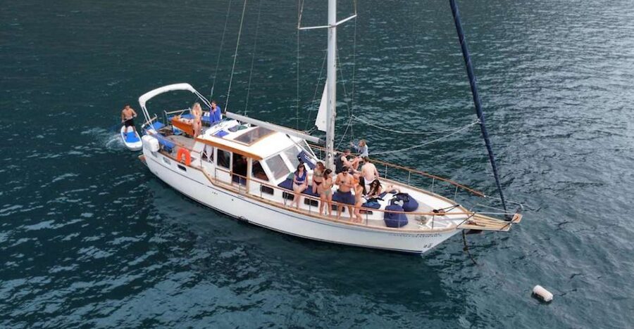 Funchal: Dolphin and Whale Watching Sailing Trip - Searching for dolphins, whales, and sea turtles