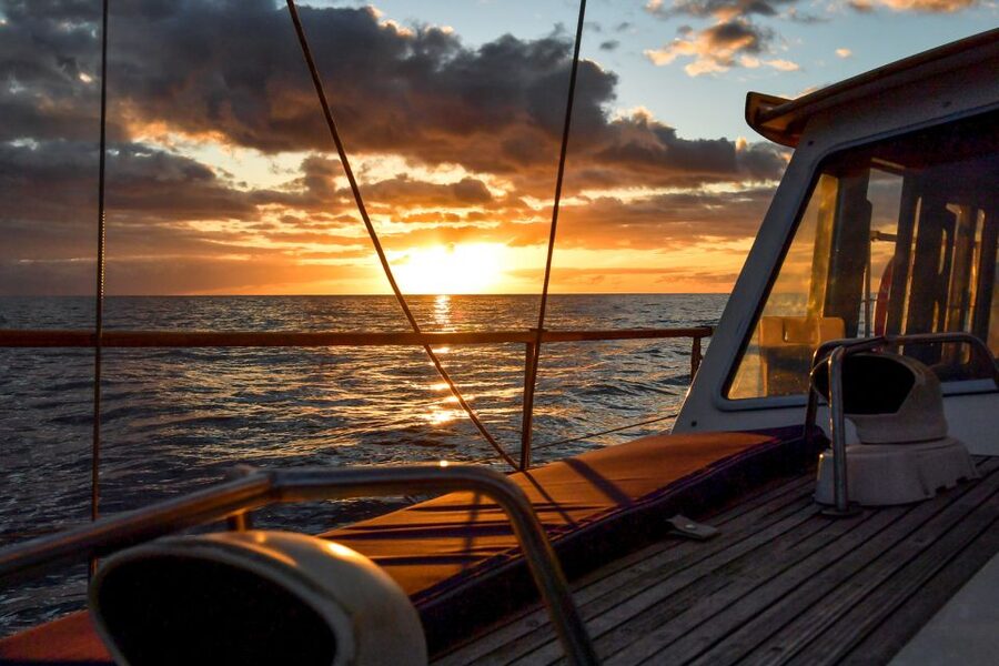 Funchal: Dolphin and Whale Watching Sunset Sailing Tour - Key points to know