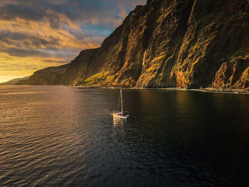 Funchal: Dolphin and Whale Watching Sunset Sailing Tour - Is $63 good value?