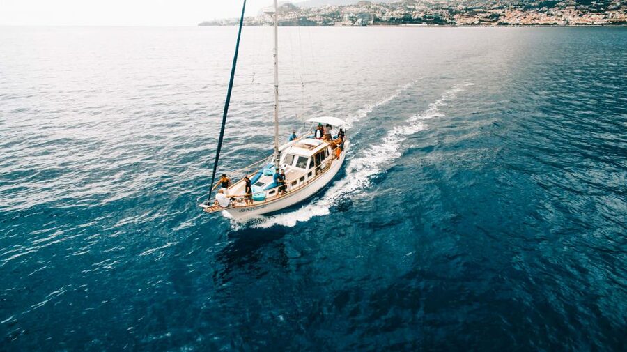 Funchal: Dolphin and Whale Watching Sunset Sailing Tour - Who should book this Funchal cruise?