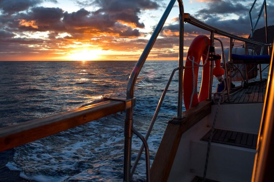 Funchal: Dolphin and Whale Watching Sunset Sailing Tour - Leaving Funchal and searching for wildlife