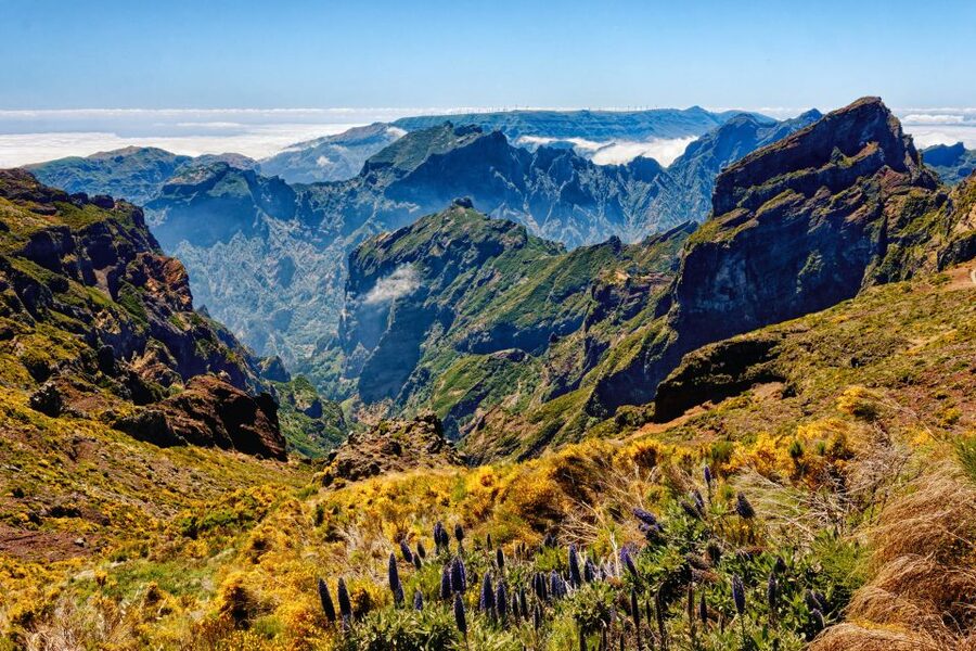 Funchal: East Madeira Island Guided Tour & Laurissilva Walk - Ribeiro Frio and the levada walk