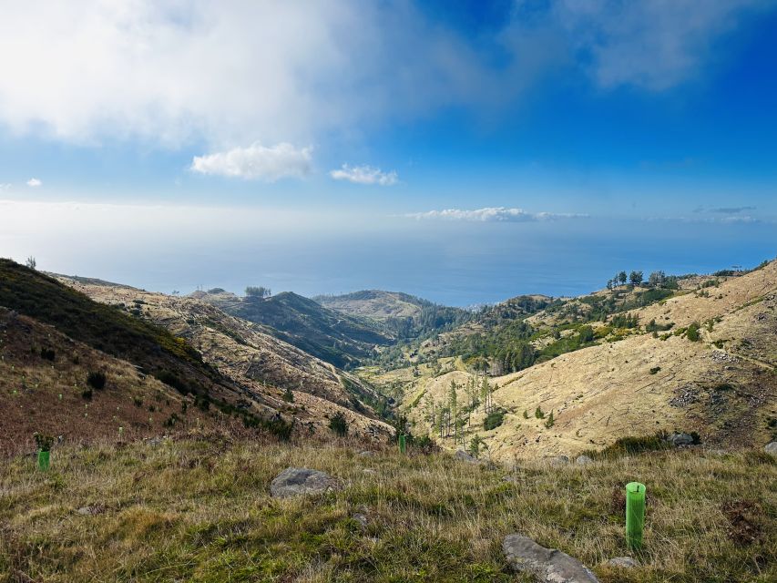 Funchal: East Madeira Island Guided Tour & Laurissilva Walk - Santana and Madeira’s thatched houses