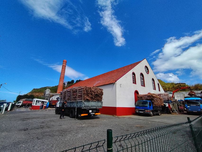 Funchal: East Madeira Island Guided Tour & Laurissilva Walk - Porto da Cruz and the North Mills rum tasting